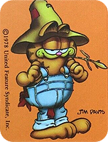 Garfield tarot card The Pirate
