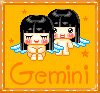 Gemini gif